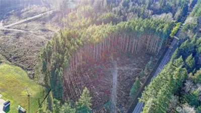 Partially cleared with mature trees, providing a serene and private setting.