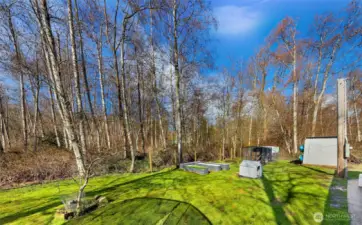 Privacy in the backyard