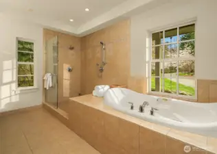 Primary bath with garden soaking tub