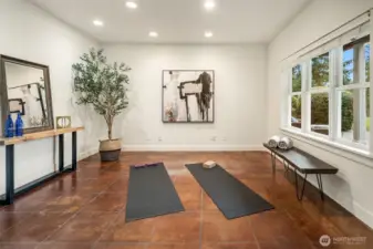 Lower level gym or bonus room