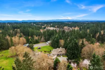 Adjacent Mukai Farm and Ilsna Center Forest