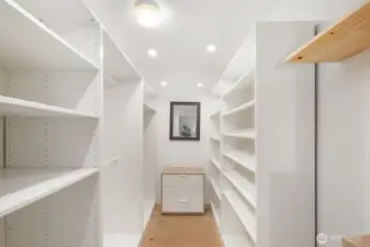 Walk-in closet with custom cabinets