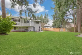 Another View of Backyard. Grass Has Been Photoshopped.