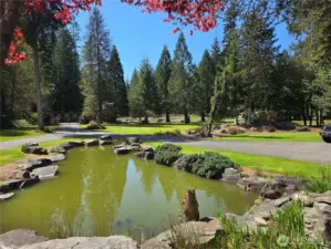 1 of 2 water features.