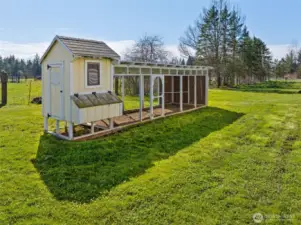 Extra large chicken coop is a wonderful space to raise all the chickens you want.