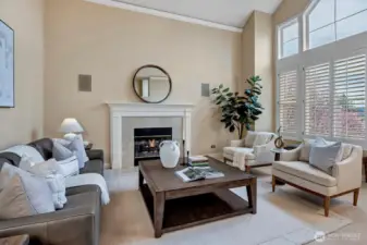 Amazing light filled rooms!