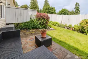 Back Patio/yard