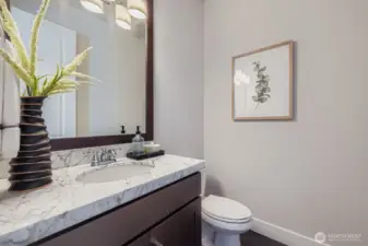 Downstairs Powder Room