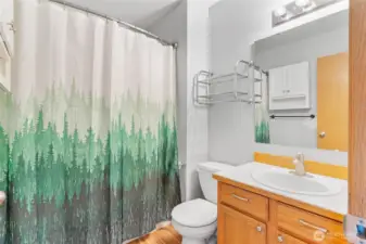 Hallway FULL bathroom