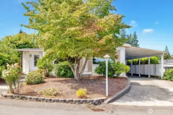 Street view of this spacious home. Sidewalk from the street to the covered formal entry into the home