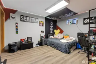 Basement 3rd Bedroom with walk in closet.