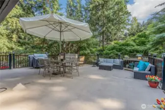Large Outdoor Back patio off the Kitchen.