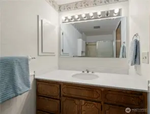 Guest bathroom with newer corian countertop and solid surface bathtub surround.