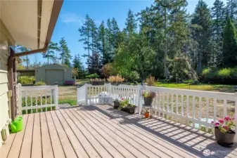 Come and enjoy this serene property with its amazing variety of mature trees and pathways.