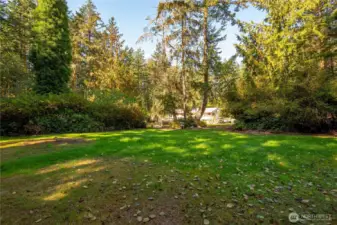View toward the house from the back yard.  There is so much space and beautiful cleared pathways, this property is simply delightful!