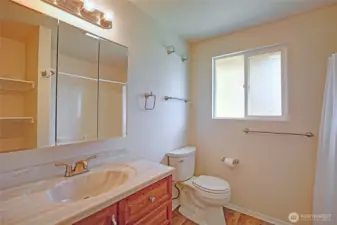 Upper Level Main/Ensuite Bathroom