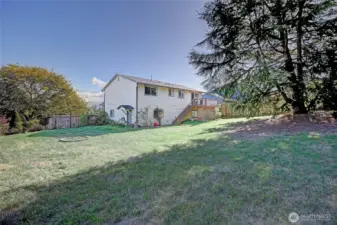 Back and Side Yard