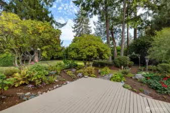 A view of the yard from the deck.