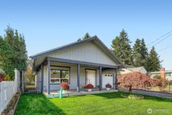 Lush green new sod recently laid and a 50 year old, mature Japanese Maple in front.