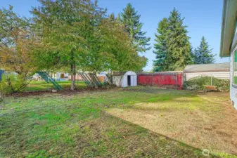 Perfect place for dogs to run free all day!