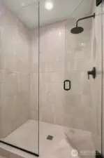Walk-in Shower in Guest Bathroom