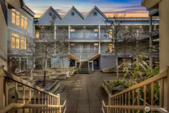 Photo taken prior to tree removal in the courtyard.