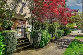 Your own private patio accessed from 58th. Gate for privacy, and patio for joy.