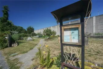 Community Garden - across the street