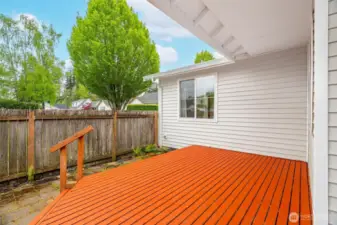 Back Deck