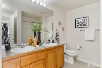 Large two vanity sinks