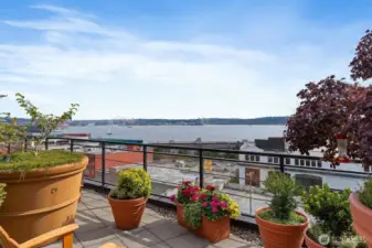 Beautiful views of Mount Rainier and the new Waterfront Park