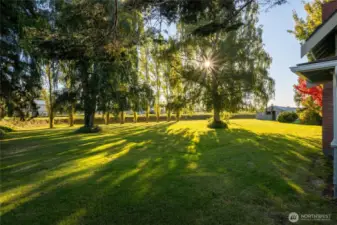 Looking towards the river from front of the home.