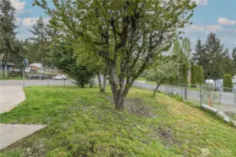 Spacious, fully fenced front yard.