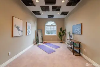 Extra room in garage, sound dampening walls.