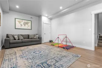 Daylight rec/bonus room