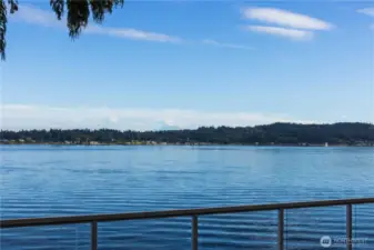 Endless views, Mt Rainier, Ferries, Orcas, Seals, it's all there for you to enjoy!