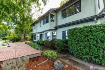 Approach to front door from driveway