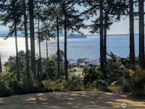 Property continues from Admiralty Way down the slope to Bay Road - trees are limbed to frame the view and provide shade.