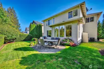 Expansive backyard.