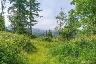 View on property