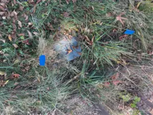 Water meter located along driveway and marked by blue flags