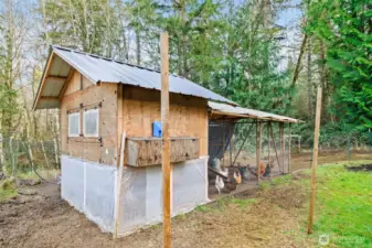 Chicken coop stays