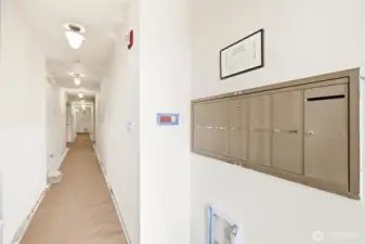 Common entry will have new flooring, paint and light fixtures installed in your honor!