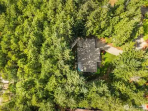 The lush forest surrounds you and gives you privacy and shade from the afternoon sun, house is eastern facing.