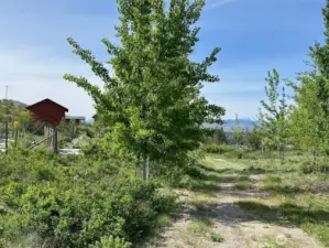 No HOA or CC&Rs—freedom to use the land as you choose. Ample space for RVs, trailers, or guest parking.