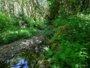 Creek Frontage