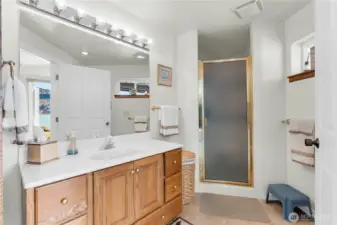 Downstairs Guest/ADU Bath
