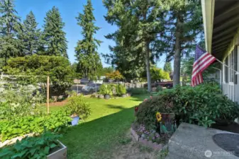 Garden planter beds in front yard