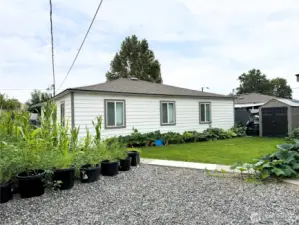 Back of Home
