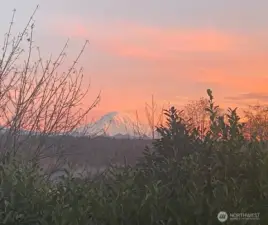view from the house